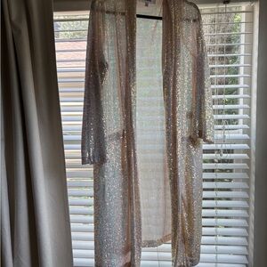 BB Dakota x Steve Madden Silver Sheer Duster Coat
